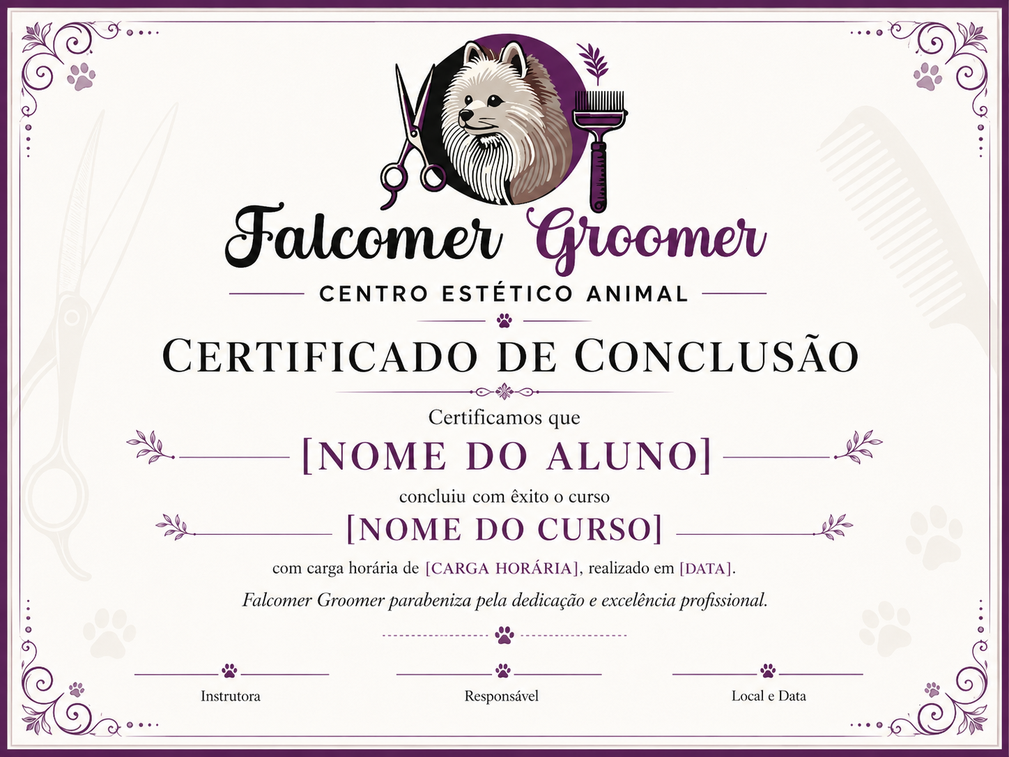Certificado de conclusão do curso