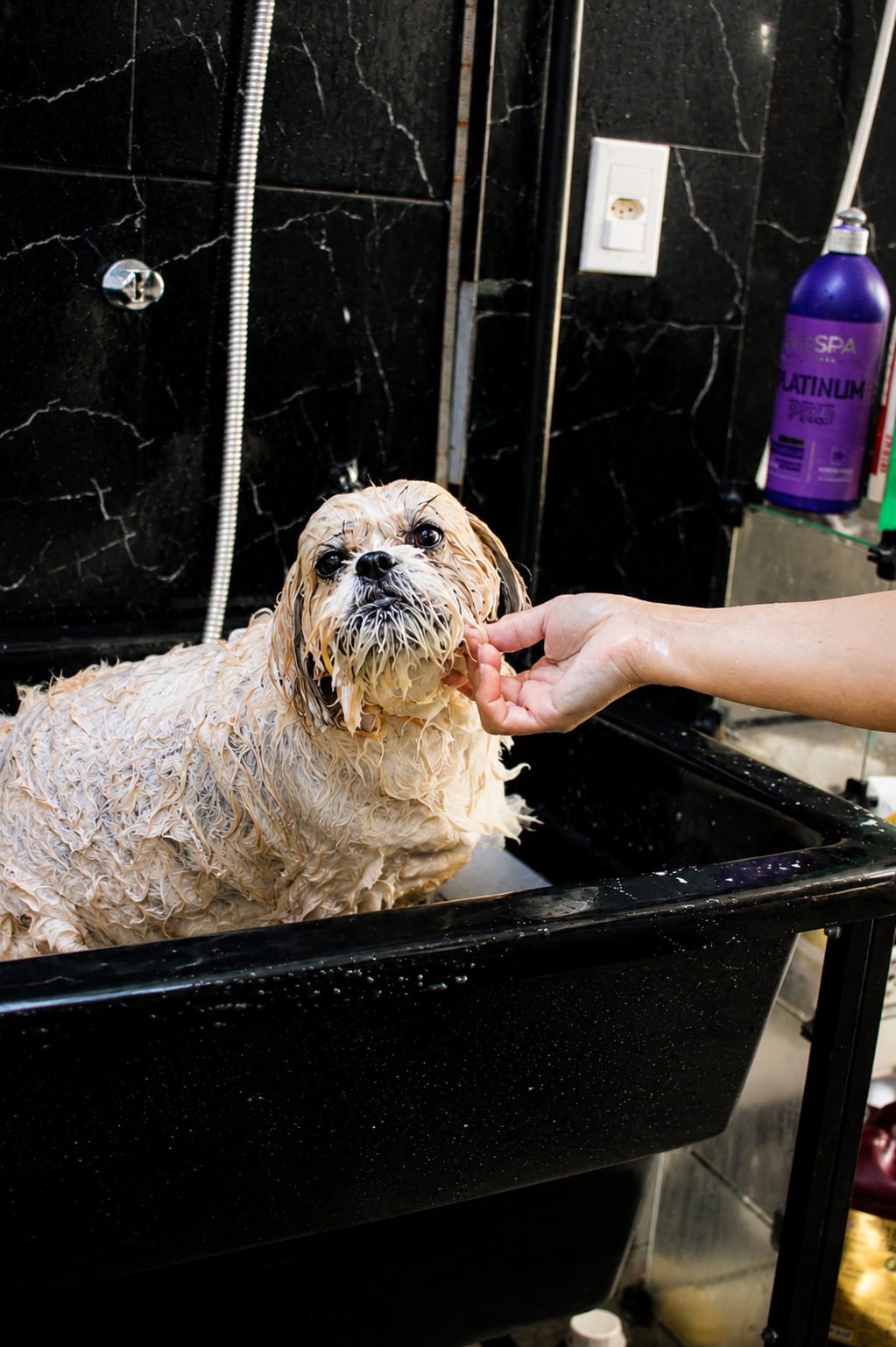 Banho sensorial avulso em pet