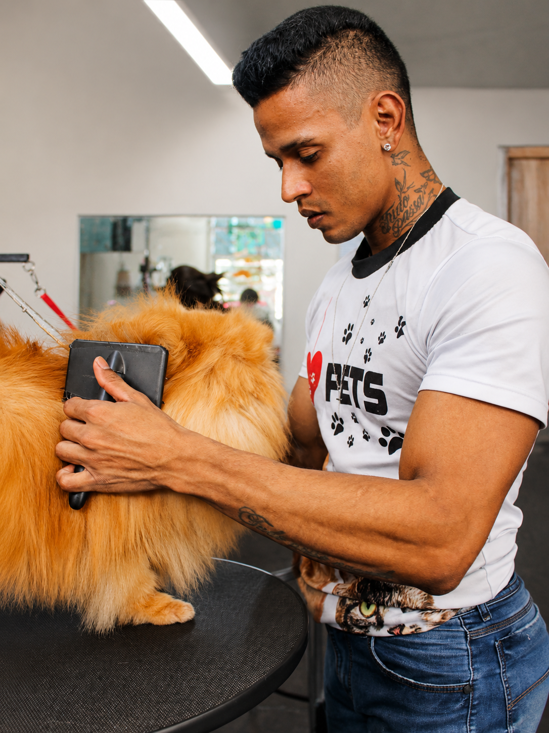 Remoção de pelos mortos em pet