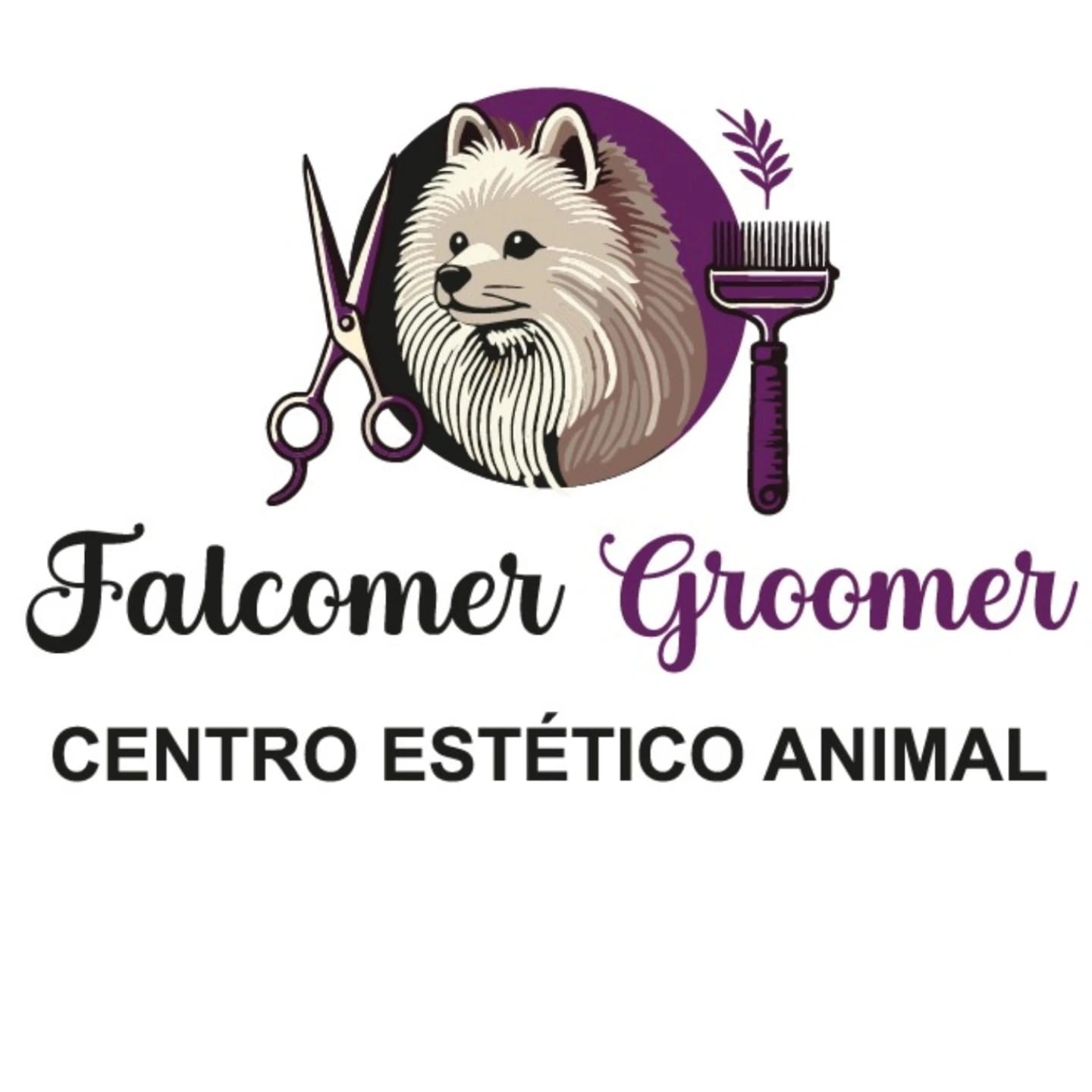 Falcomer Groomer Centro Estético Animal